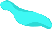 leaf-cyan